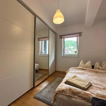 Apartment Golden Goose Brasov