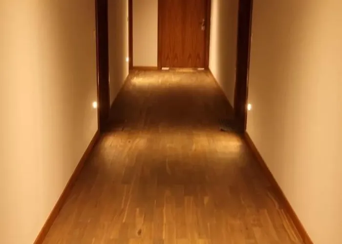 Golden Goose Apartment