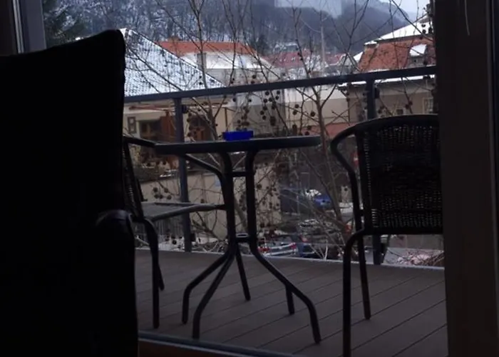 Golden Goose Apartment